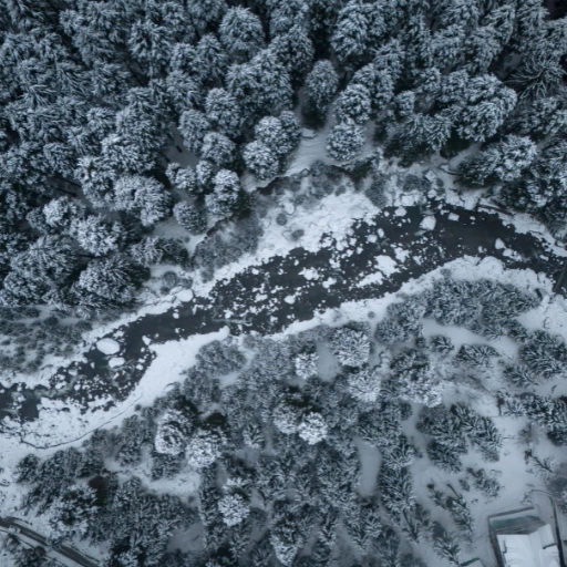 Classic Himachal Honeymoon & Family Tour: 5 Nights / 6 Days